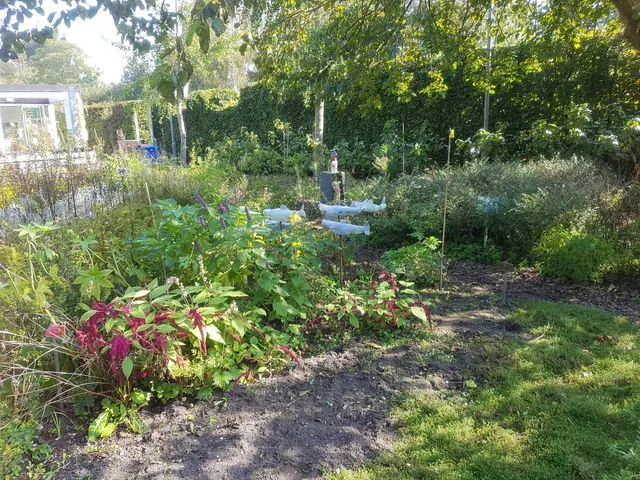 Foundation Hortus Alkmaar