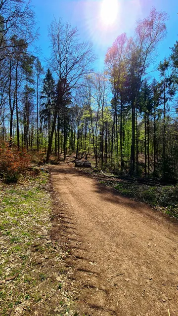 Traumschleife Litermont Gipfeltour (Premiumwanderweg)