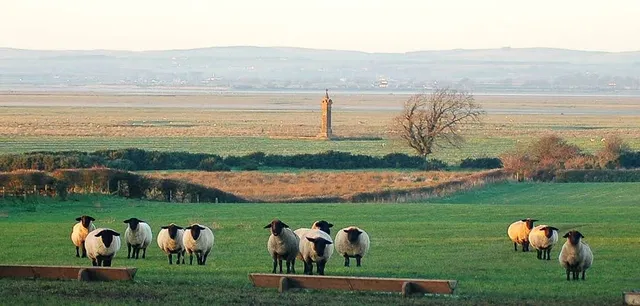 King Edward 1 Monument