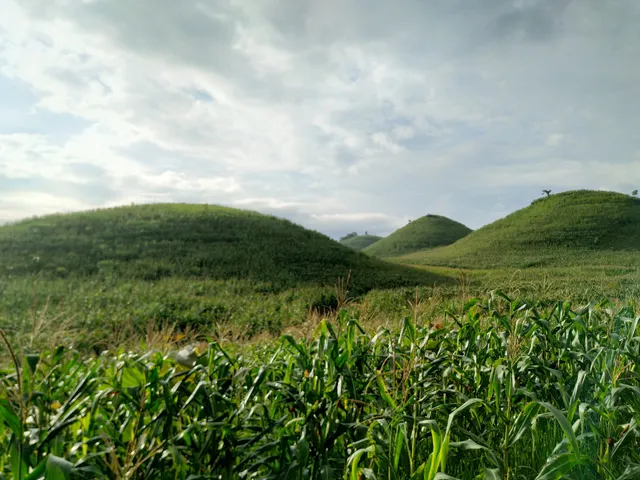Bukit teletubbies
