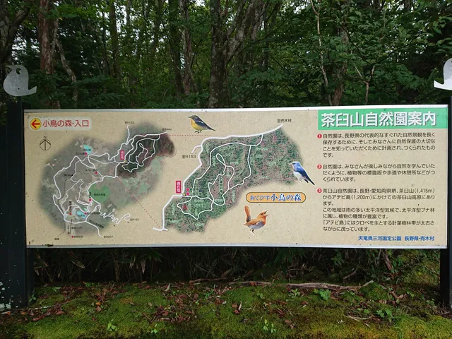 Atebidaira Birdwatching Forest (Chausuyama Nature Preserve)