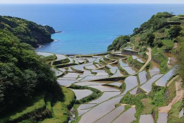 Terraced Rice Fields of Hamanoura