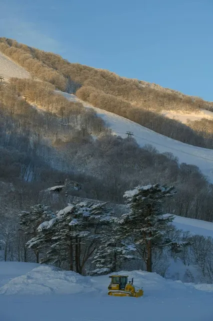 Madarao Kogen