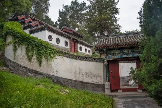 Port Cultural Cetate