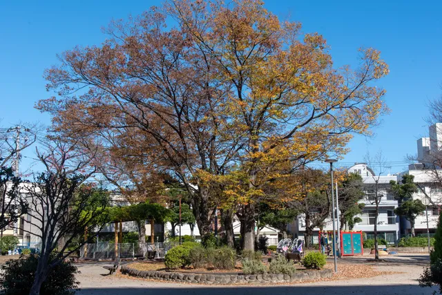 Bunkamiyamaebashi Park