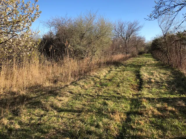 Mariner's Marsh Park