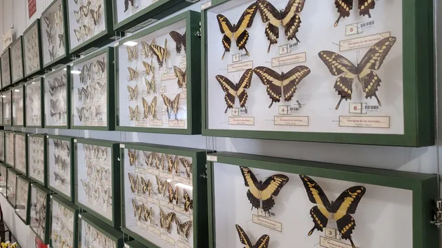 Museo de Colecciones de la Universidad de León