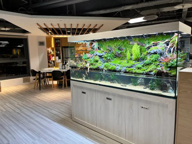 水立方 水族空間設計 x 植茁 苔蘚專賣（來店前先來電）