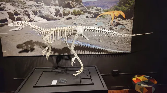 CENPALEO - Centro de Pesquisa Paleontológica / Museu da Terra e da Vida