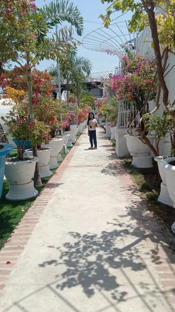 MiMar Le Alcaz Garden