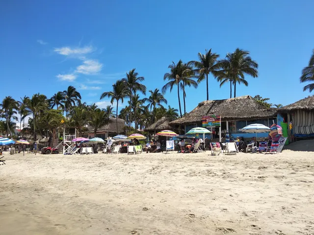 Fibba Nuevo Vallarta Club De Playa