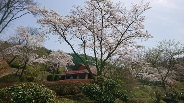 Toyota-Shi Obara Paper Art Museum Washi no Furusato