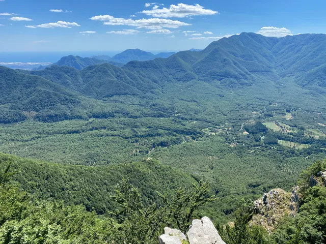 Ripa Della Falconara