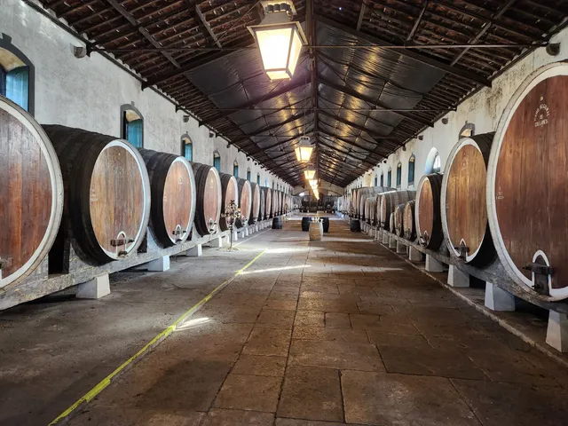 Regional de Colares Winery