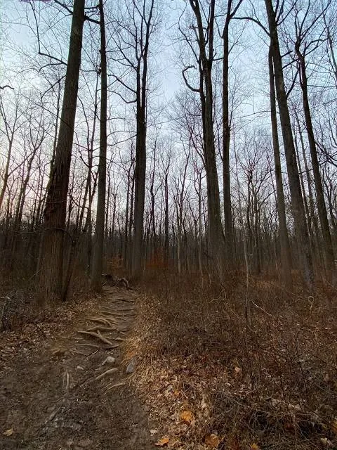 Sourland Mountain Hiking Trail