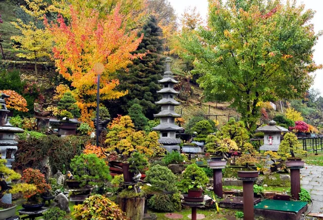Giardino Museo Bonsai della Serenità