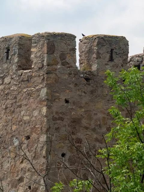 The Fortress of Tricule