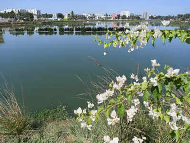 Hebbagodi Lake