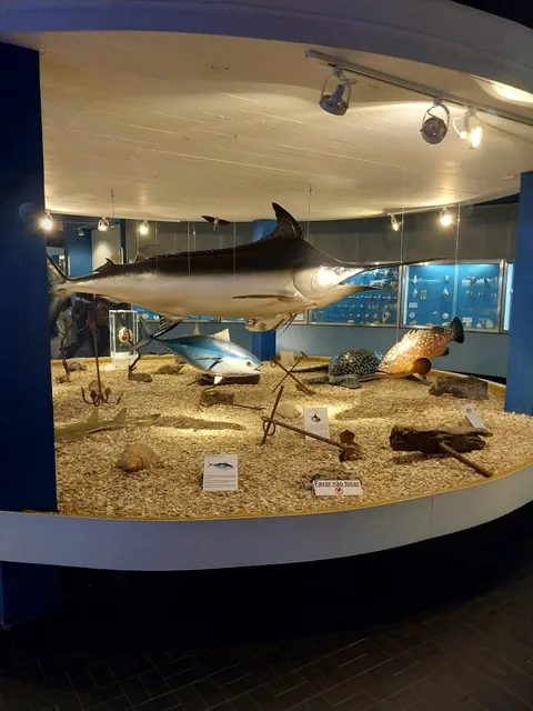 Oceanographic Museum "Prof. Eliezer C. Rios"