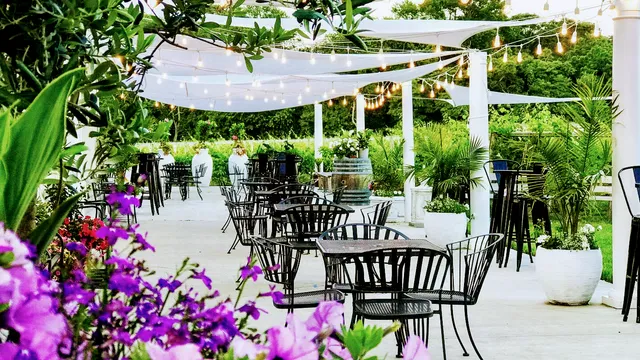 Turdo Vineyards & Winery