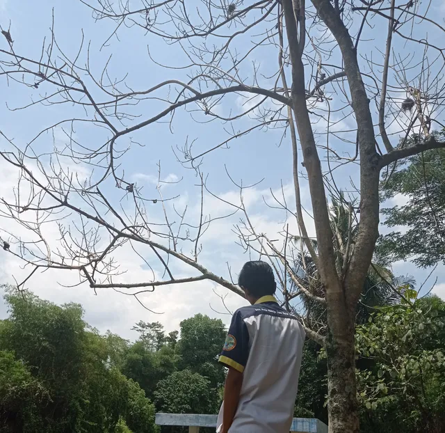 Wisata Alam Green Dawuan