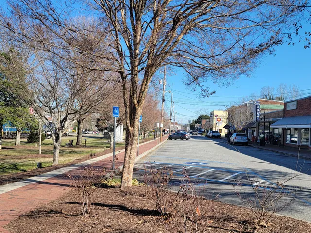 Downtown Blue Ridge Play Park