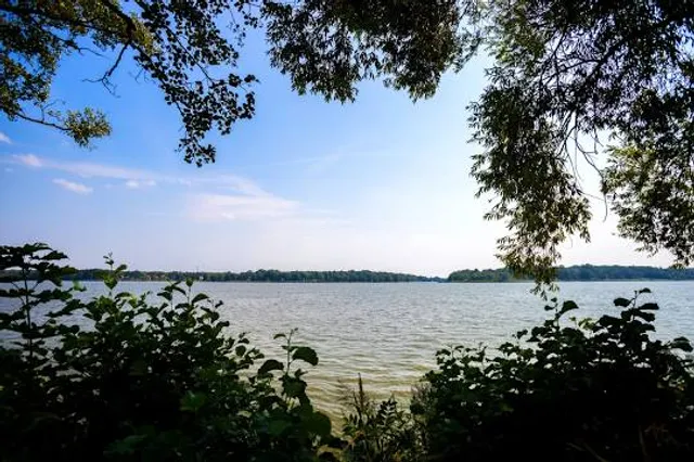 Ruppiner See