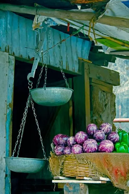 Fort Delaware Museum