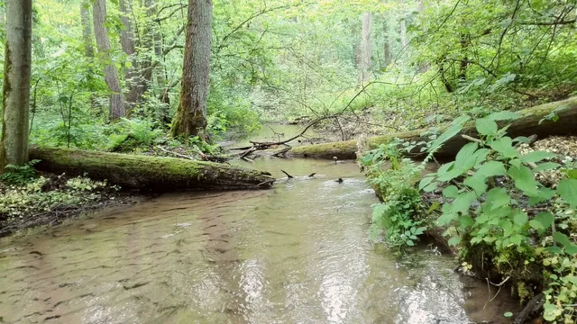Nature reserve Struga Dobieszkowska
