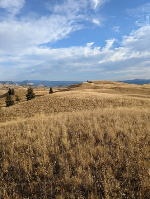 Lac Du Bois Grasslands Protected Area