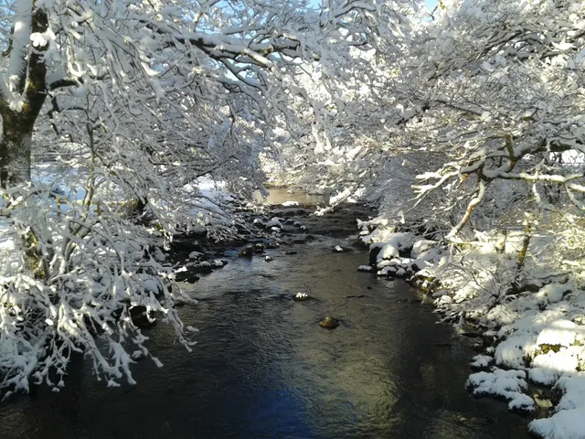Dolhendre Caravan Park