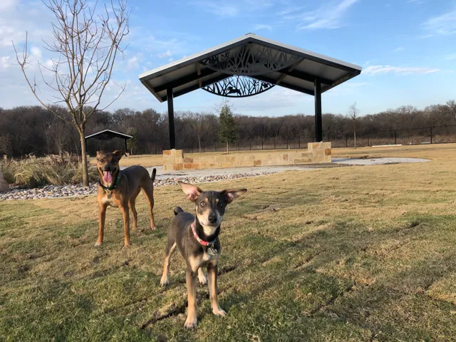 Wood Family Dog Park