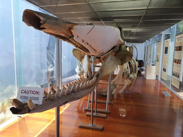 Portland Maritime Discovery Centre