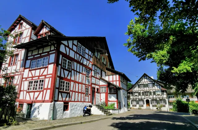 Ortsmuseum Albisrieden