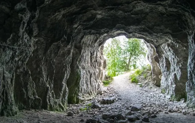 городское поселение Камское Устье