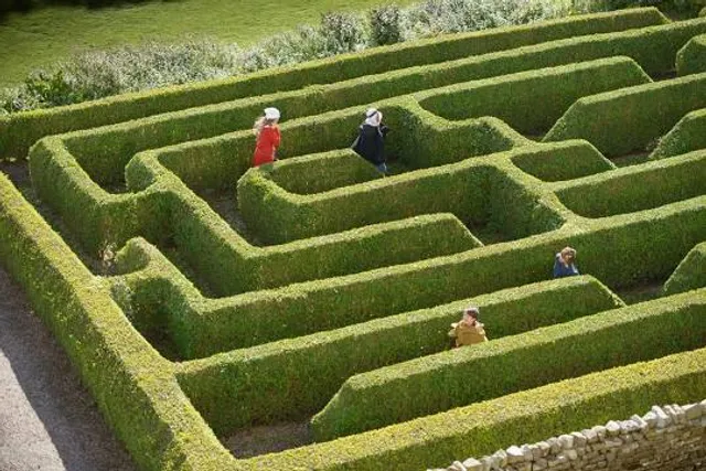 The Kildare Maze