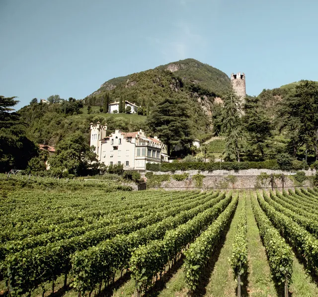 Weingut Hans Rottensteiner