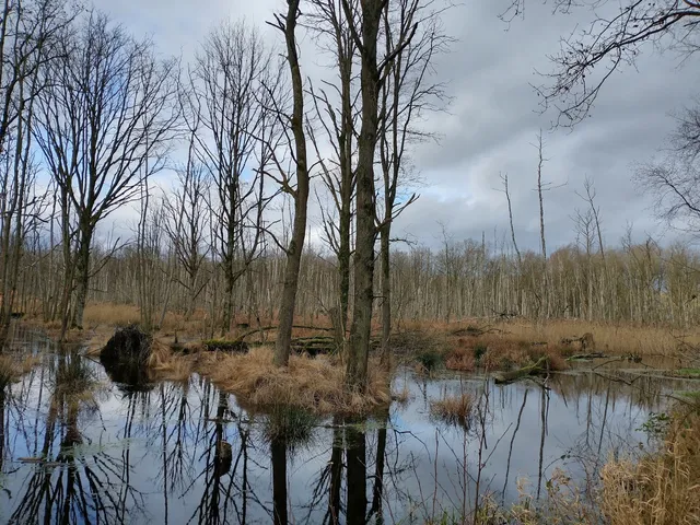 Borderpark Kempen~Broek