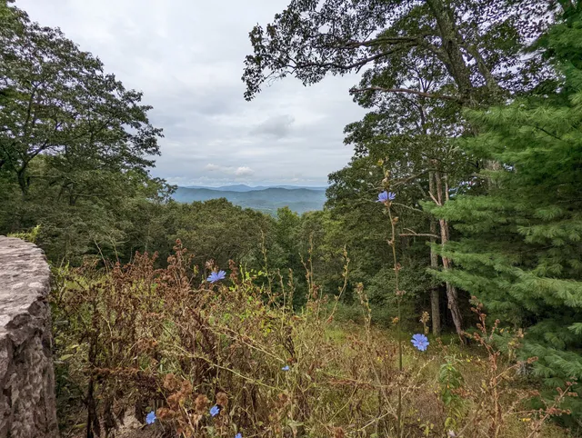 Confederate Breastworks Interpretive Site