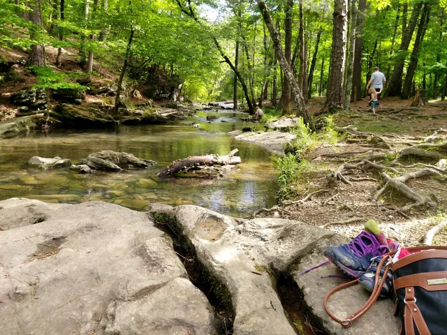 Beavers Bend Nature Center