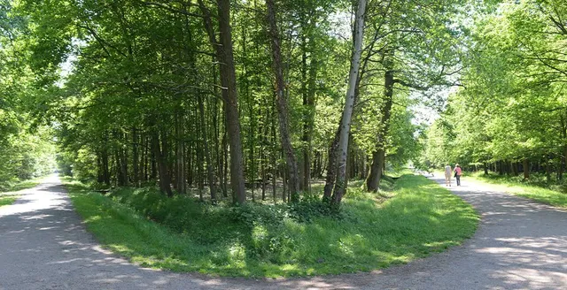Forêt Régionale de Gros Bois