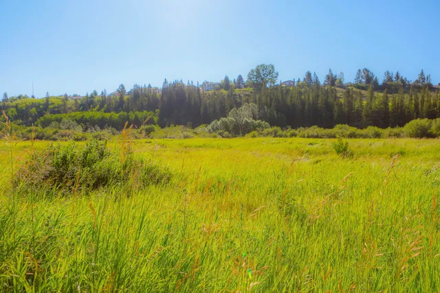 Historic Cochrane Ranche