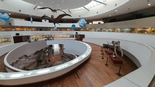 Museo Provincial de Ciencias Naturales "Dr. Arturo Umberto Illía"