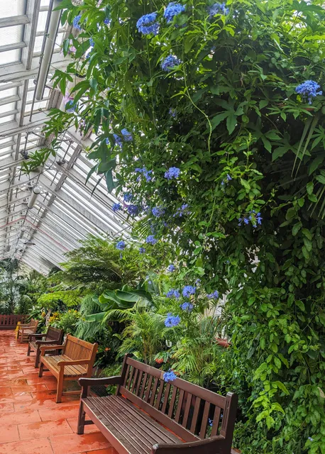 Queen's Park Glasshouse