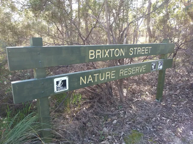 Brixton Street Wetlands