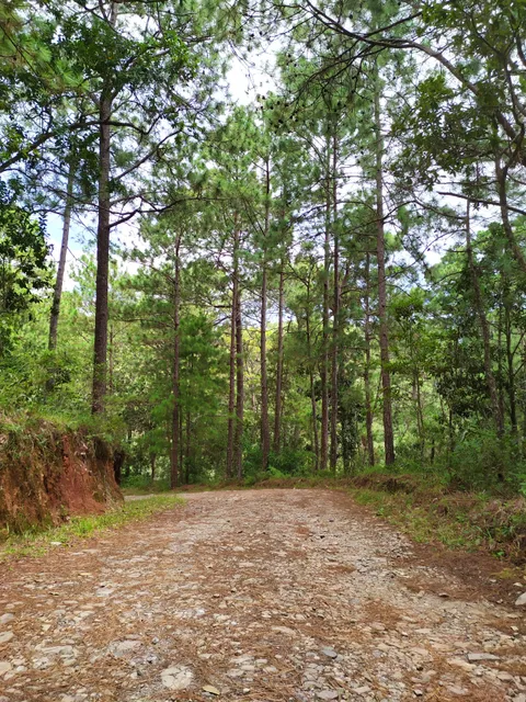 La Montañona, Concepcion Quezaltepeque, Chalatenango