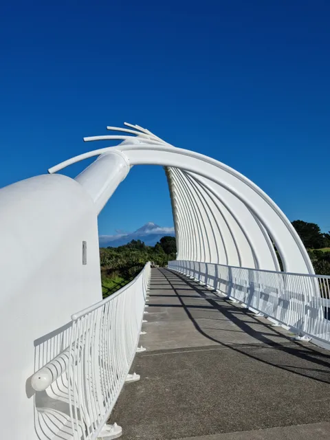 Te Rewa Rewa Bridge