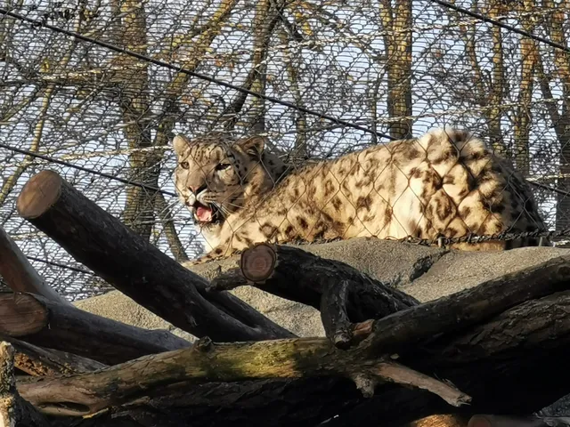 Himalaya-Gebirgswelten