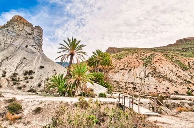 Puente Colgante Tibetano del Solvente