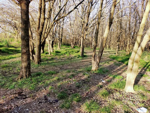 Reserva Natural Integral y Mixta Laguna de Rocha